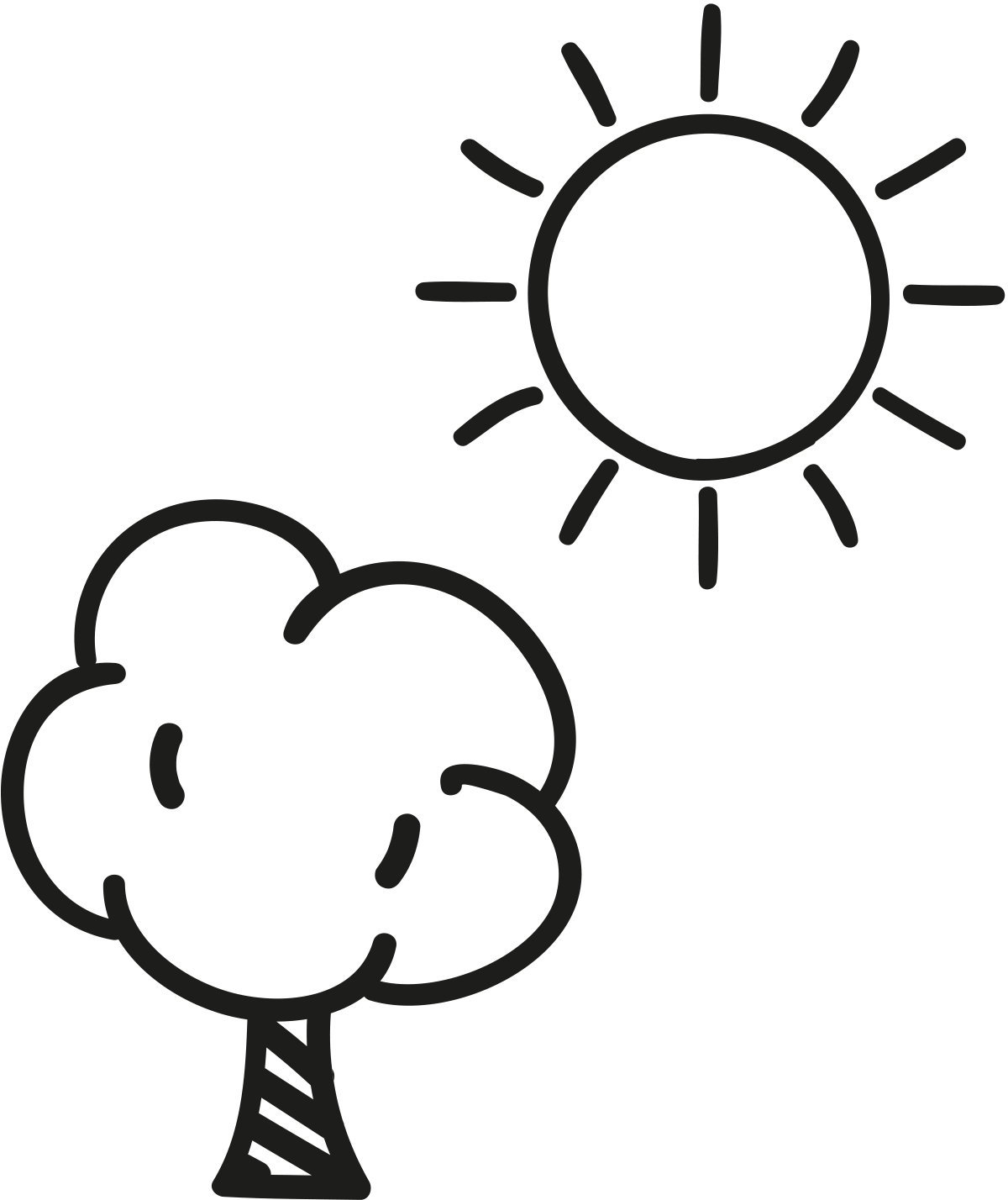 boom_zon